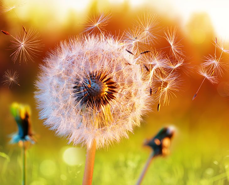 Ein Leitfaden für allergikerfreundliche Wäsche